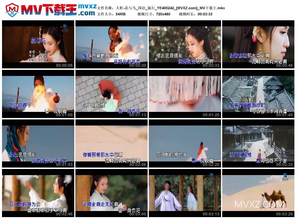 大籽-花与马_国语_流行_YE400242